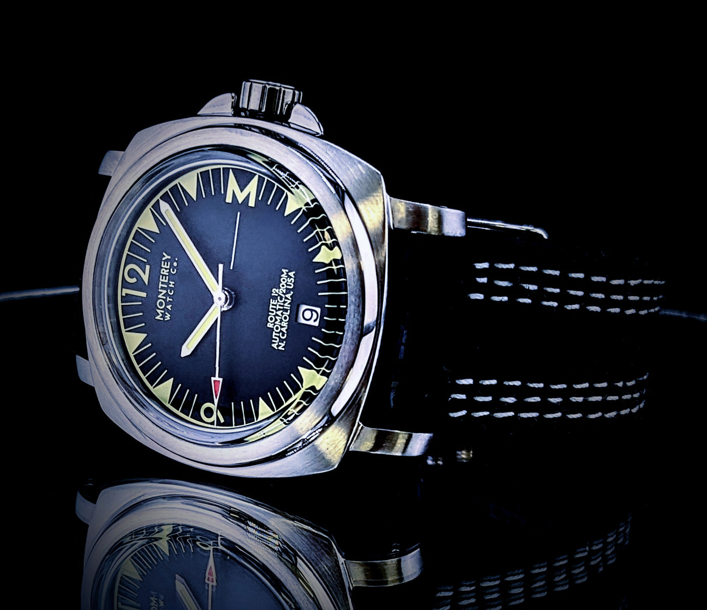 Wrist shot featuring Monterey Watch in outdoor setting