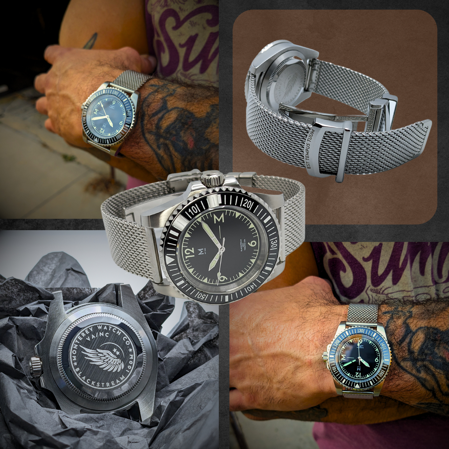 The Blackstream Pilot/Diver